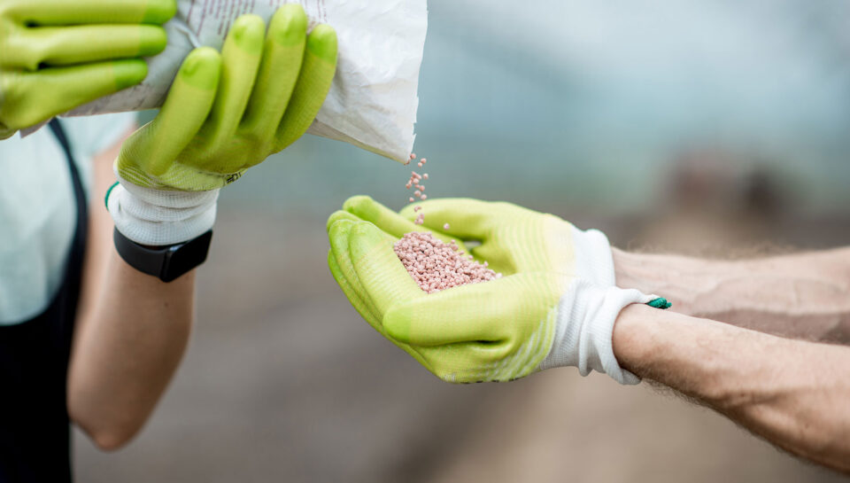 fertilizantes